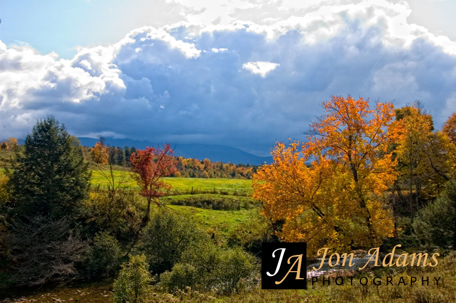 Pic of the Day – Fall Foliage
