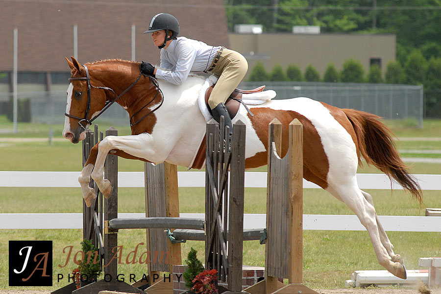 Pic of the Day – Horsin’ around