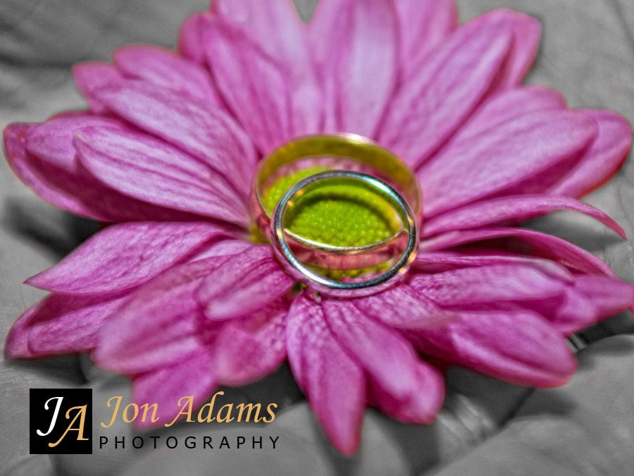 Pick of the Day – Unity