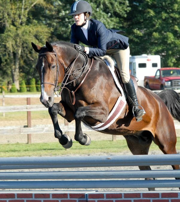 In the News – VHJA Finals results in a very happy wife