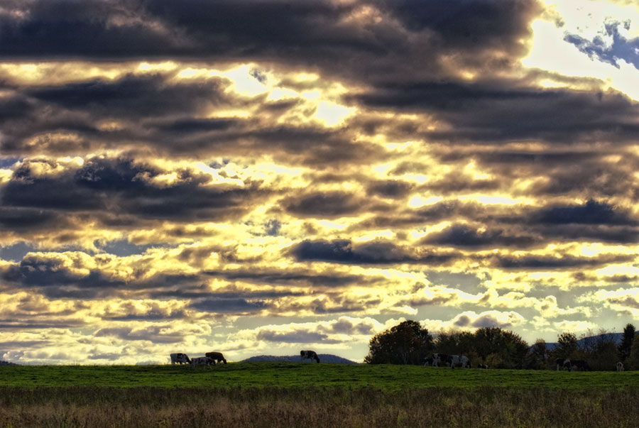 Foliage is now is Season