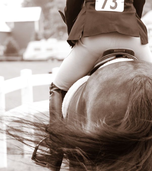 Summerfield Farm VHJA Horse Show