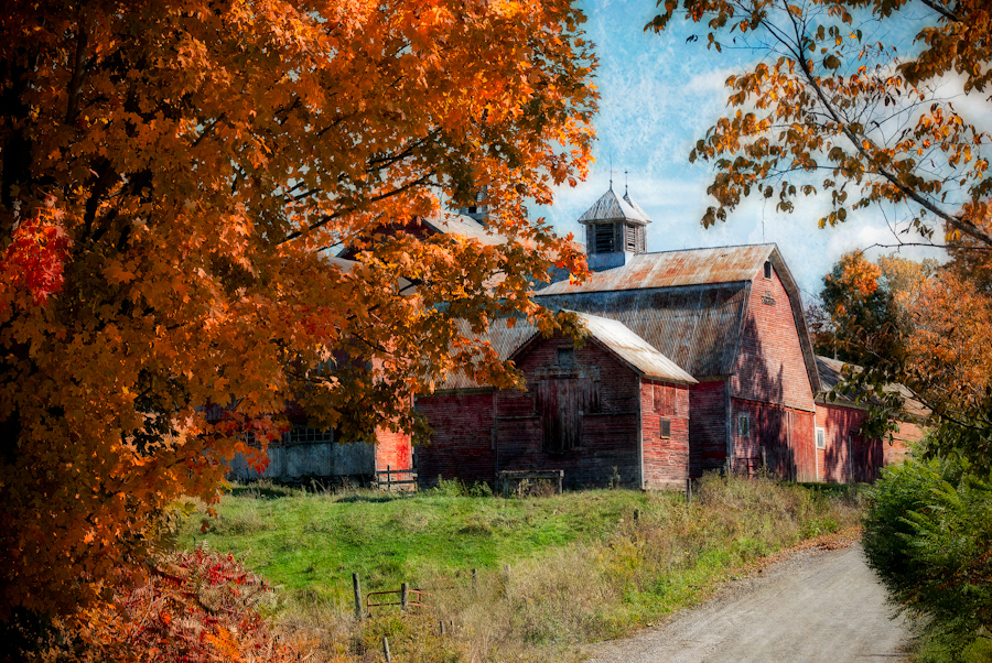 Pic of the Day – Duffy Road