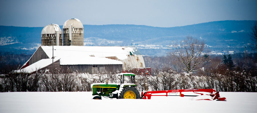 Pic of the Day – Nothing Runs like a Deer