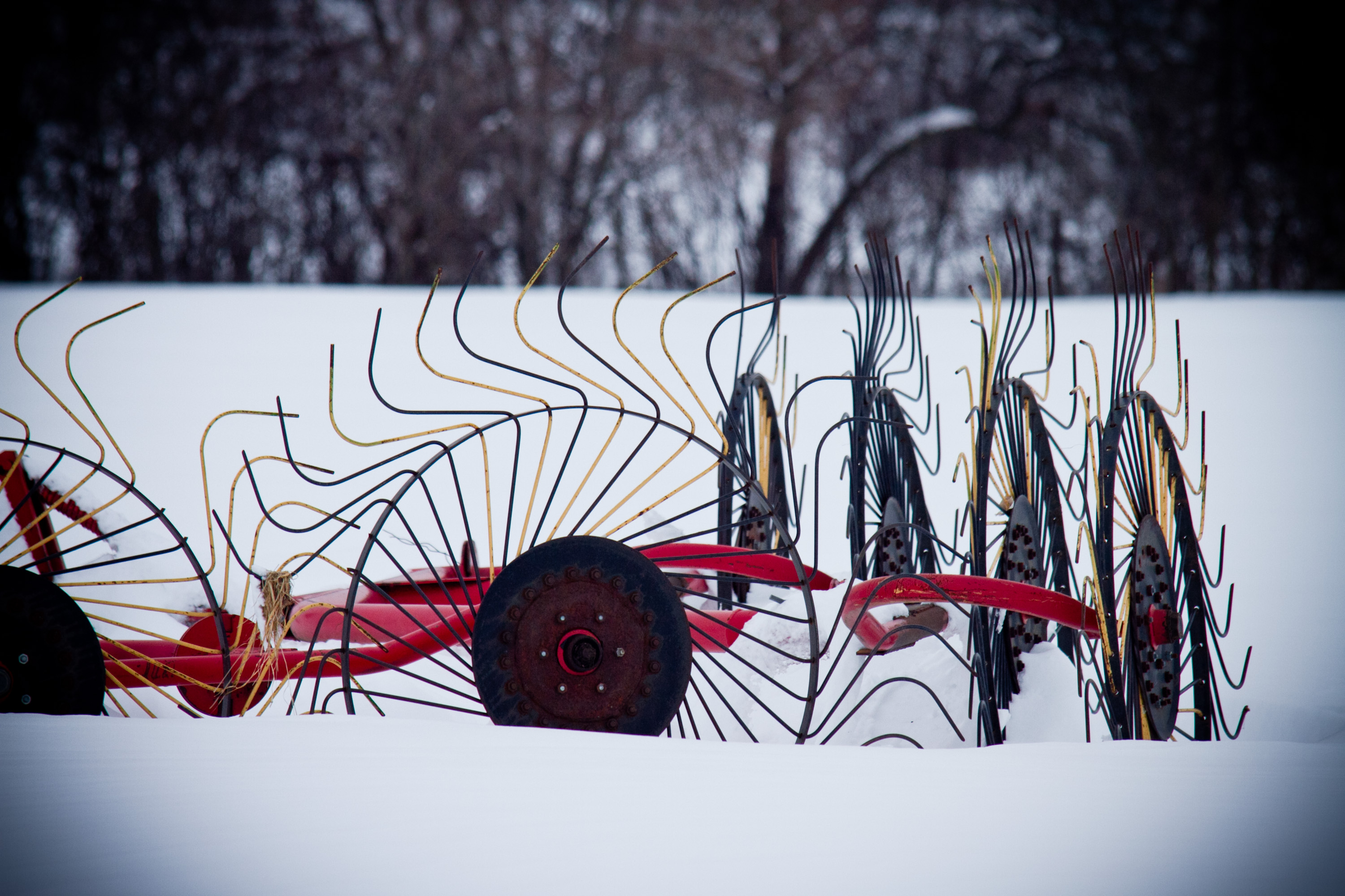 Pic of the Day – Quiet Winter Wonder