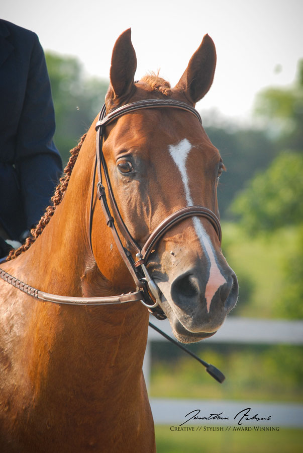 2012 VT 4-H State Show