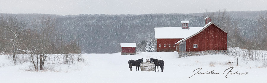 Pic of the Day – Braving the Storm